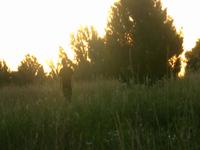Of Living