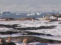 MUSIC FROM THE MOON * Clip #4: Ilulissat