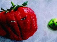 Sally Strawberry