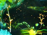 Terrarium - Interactive Installation