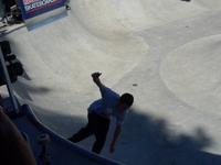Shredwood with a hint of randomness