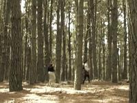 Duelo - Bernabé producciones