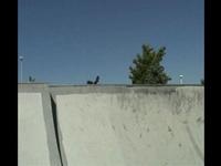Cory Passenger DTP Sesh