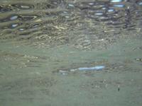 Under sea level