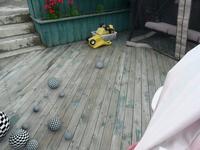 Weird Stuff in my Backyard!