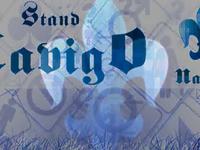 Diseño_Grafico_Video 2