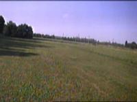 Toro 900 Low and Slow flight in FPV