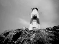Lotseninsel - Pilot Island Moments 12x15 sec.