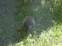 Groundhog Day