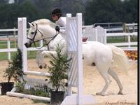 Westwind ETC ETHJA Show - Hunter Jumper