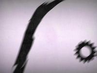 Showreel montage 2009