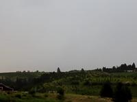 Palouse Lightning