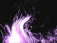 dance music video whale killers