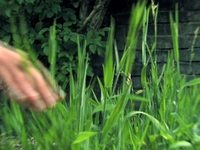 Slow motion XA H1