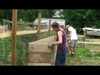 Planting the Seeds
