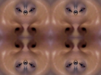 Spiral Kaleidoscope