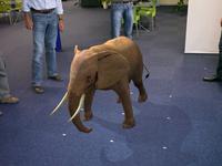 Olifant bij De Indruk