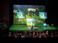 Opera Pastorale - Gérard Pesson - Video scenography by Pierrick Sorin