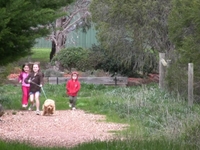 three girls, a puppy and an ugly spider