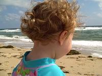 CapeCod 09