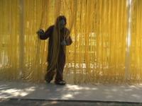 I am a Monster Trailer