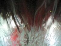 Car Wash