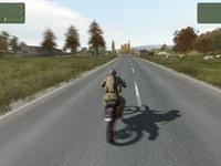 BUG VIDEO in ARMA 2 (HD 4870)