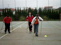 Roller-ski 3: técnica 2.