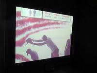 Virtual Wind Tunnel for Audi