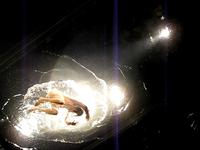 FUERZA BRUTA 5 - NYC