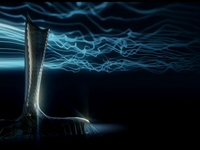 Architectural Animation | Mirvac | Amaryllis