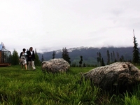 Colorado Wedding