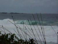 BFFL's bodyboarding