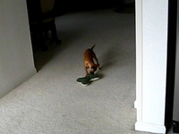 Delilah Gets Busy