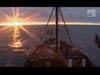 World Against Whaling