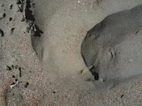 Sand