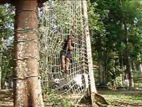 Skytrex Training