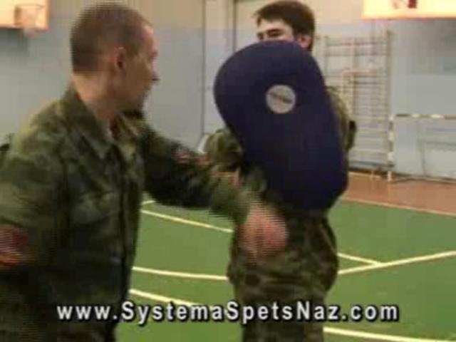 Strikes - Punches - Kicks - Russian Martial Art Systema SpetsNaz