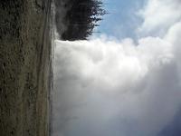 Yellowstone movie #9
