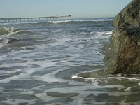 San Diego Waves