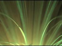 Optic Fiber