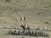 Combate de la Concepcion