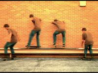 Multiplicity
