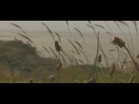 Porthcawl Beach
