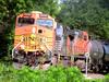 American Railroads