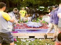 22,000 Bottle Rocket Launcher