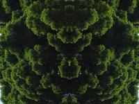 0437