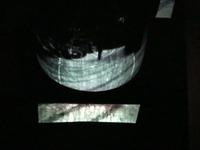 Pico Street Projection Landscape vase #12