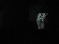 Pico Street Projection Aerobic #13