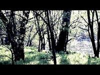 20_DIMARYP